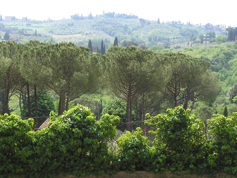 Countryside near Florence Italy